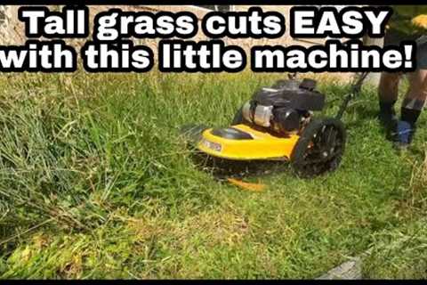 $20 to mow this? Done!