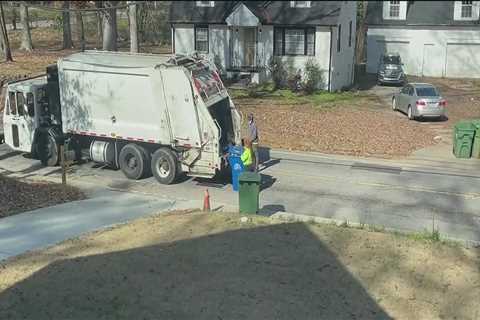 Does nyc sanitation pickup tree branches?