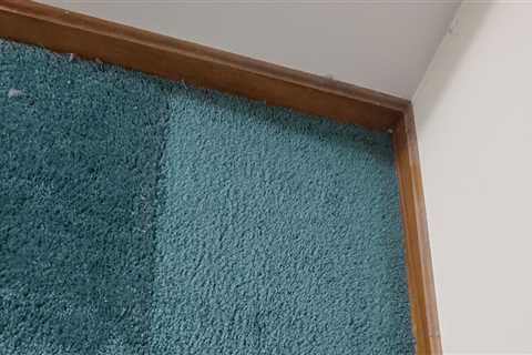 How to make your carpet last long