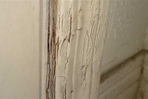 Are plaster walls toxic?