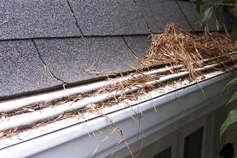 Are gutter guards a waste of money?