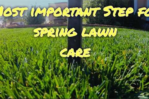 The Most Important Step for Spring Lawn Care