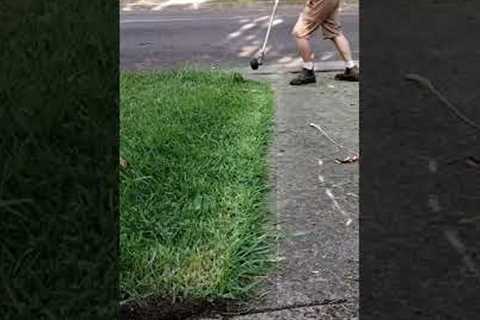 Aiming for the straightest edges on YouTube. #youtube #youtubeshorts #lawncare #subscribe #house