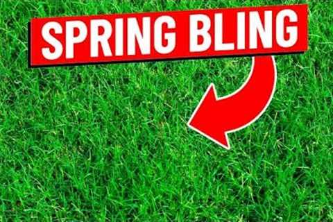 Spring Lawn Care Tips for Bermuda Grass