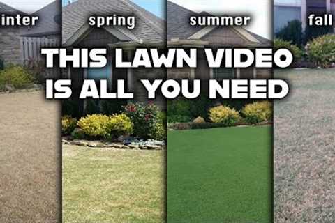 A Beginner''''s Yearly Lawn Care Guide to Improving or Maintaining a Beautiful, Green Bermudagrass..