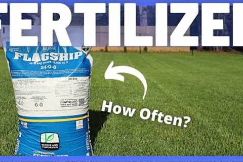 How Often Should your FERTILIZE Your LAWN? Cheap Walmart Expert Fertilizer Versus Quality Fertilizer