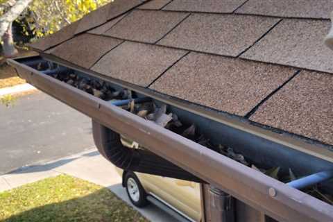 Gutter Cleaning Philadelphia: Clean Pro Gutter Cleaning Philadelphia