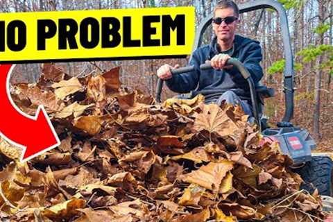 Fall Leaf Clean Up Tips - How to, Pricing, and Demonstration