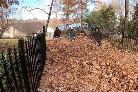 Leaf CLEANUP Army Can''''t be STOPPED Insanely FAST leaf Cleanup