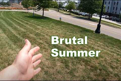 Cool Season Summer Lawn Tips | Crabgrass and Summer Fertilizer