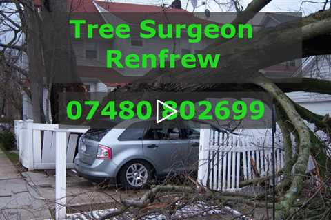 Tree Surgeon Renfrew Stump Removal Root Removal Tree Surgery  & Other Tree Services