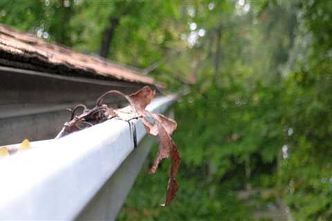 Why You Should Not Skip Gutter Cleaning