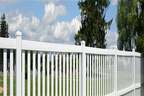 Is Pine or Cedar Better for a Fence?