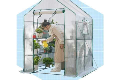 Amazon’s Affordable, Portable Greenhouse Protects Plants All Winter