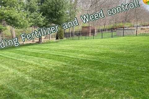 How to make more money in lawn care (adding fertilizer and weed control)