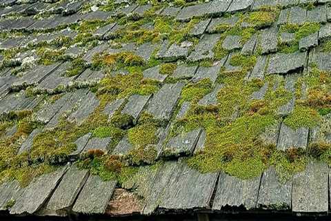 How does roof moss killer work?