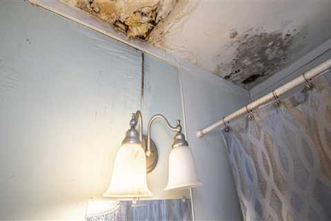 Can mold be permanently removed from a house?