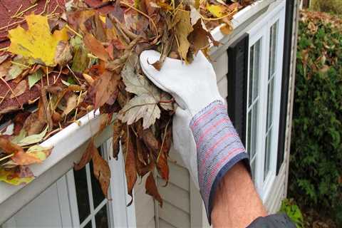 When should you clean your gutters in the fall?