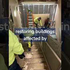 😮 Mold Remediation & Water Damage Repair • Boston, MA #shorts