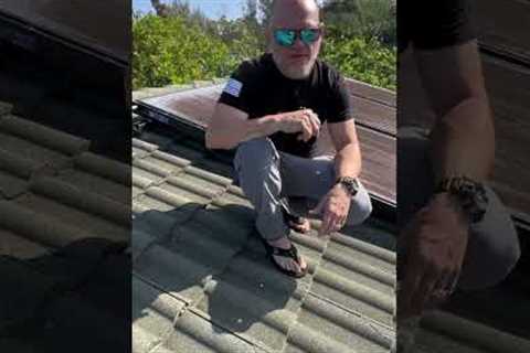 Can broken roof tiles be repaired in Hawaii? Affordable roofing company in Oahu