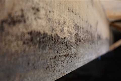 How do you address mold problems?