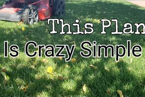 SUPER Simple Plan For An AWESOME Fall Lawn