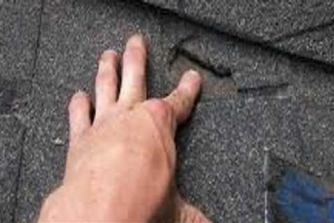How gutter cleaning can prevent pests at home