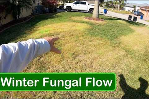 Using LESS CHEMICAL to Control Fall and Winter Lawn Disease - Large Patch