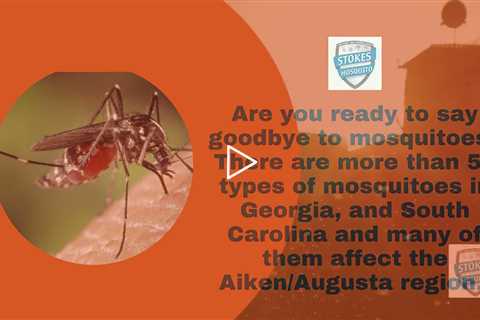 Mosquito Control - Stokes Mosquito and Outdoor Pest Service