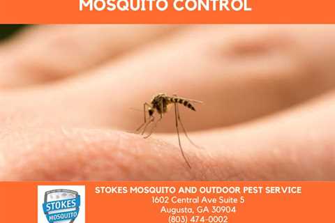 Stokes Mosquito and Outdoor Pest Service Explains the Importance of Mosquito Control in Augusta GA