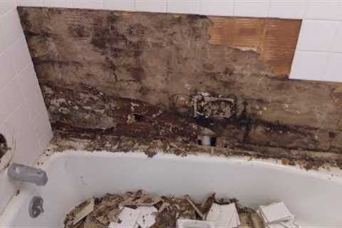 Shower Water Damage Mold Disaster