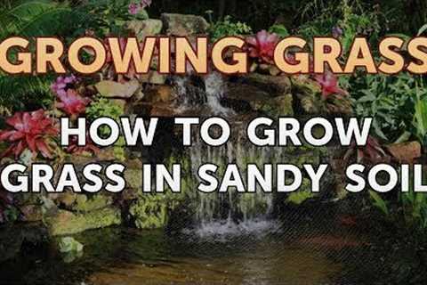How to Grow Grass in Sandy Soil