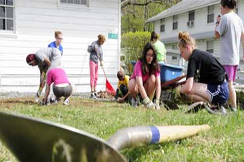 How to Organize a Lawn Cleanup Drive with Neighbors