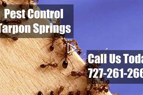 Pest Control  Tarpon Springs FL Residential Exterminators 24 Hr Bed Bug Control & Termite Treatment
