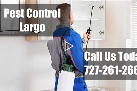 Pest Control Largo FL Emergency 24 Hour Exterminator Domestic Bug & Termite Solutions Largo Florida