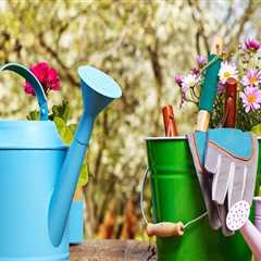 Why Watering Your Home Garden is Essential