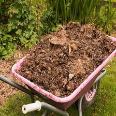Composting in Your Garden: Tips for Successful Composting