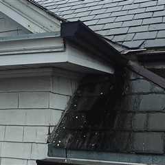 Should You Hire a Roof Repair Service?