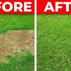 How to Fix a Bare Spot in the Lawn - 3 Tips for Fast Repair