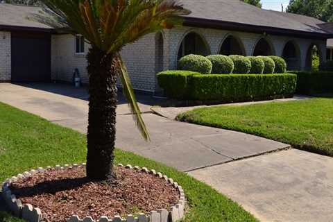 Why is Having a Routine Gutter Cleaning Important to your Landscape