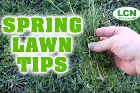 Spring Lawn Fertilizing & Weed Control Tips