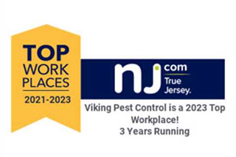 Viking Pest Control named Top Workplace 3 years in a row