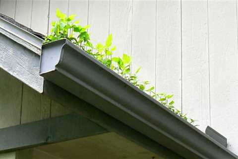 Improving Home Lawn and Tree Maintenance: How to Resolve Gutter Problems
