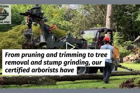Tree removal Pennsylvania - Felling Pro