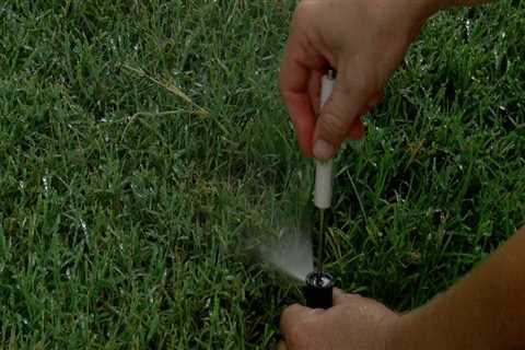 Techniques to Water the Lawn For Promoting Healthy Growth
