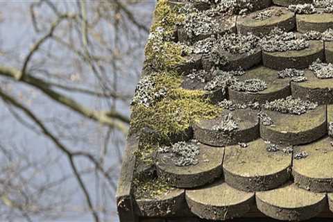 How To Control Roof the Growth of Roof Moss: Tips and Ideas for Homeowners