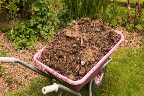 Composting in Your Garden: Tips for Successful Composting