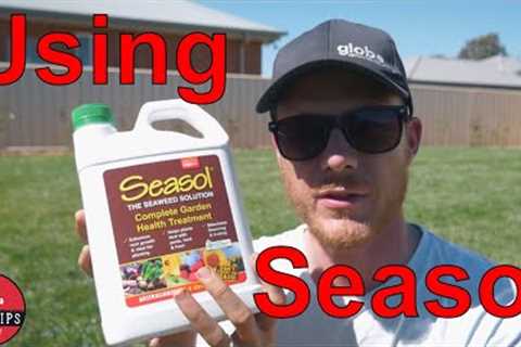 Why You Should Use Seasol On Your Lawn