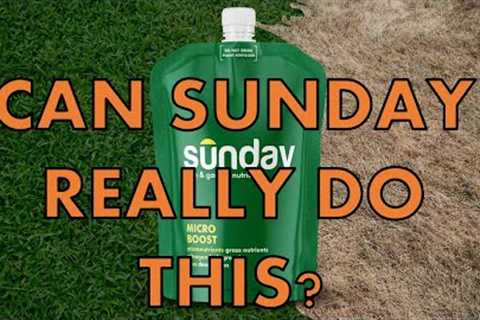Sunday Lawn Care Review and Use After 1 Year | Do you NEED This Liquid Fertilizer?