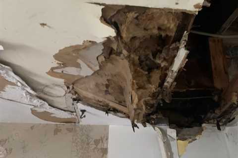 5 Foolproof Ways to Handle Water Damage Mold